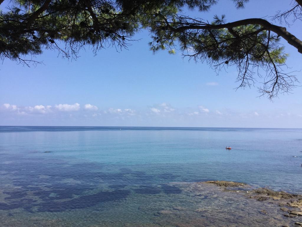 Willa Le Terrazze Sul Mare - Capo Aranciotto Beach Cefalù Zewnętrze zdjęcie